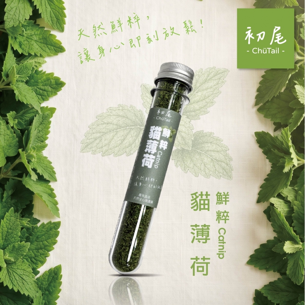 鮮粹貓薄荷