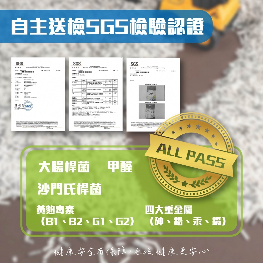 瞬凝砂